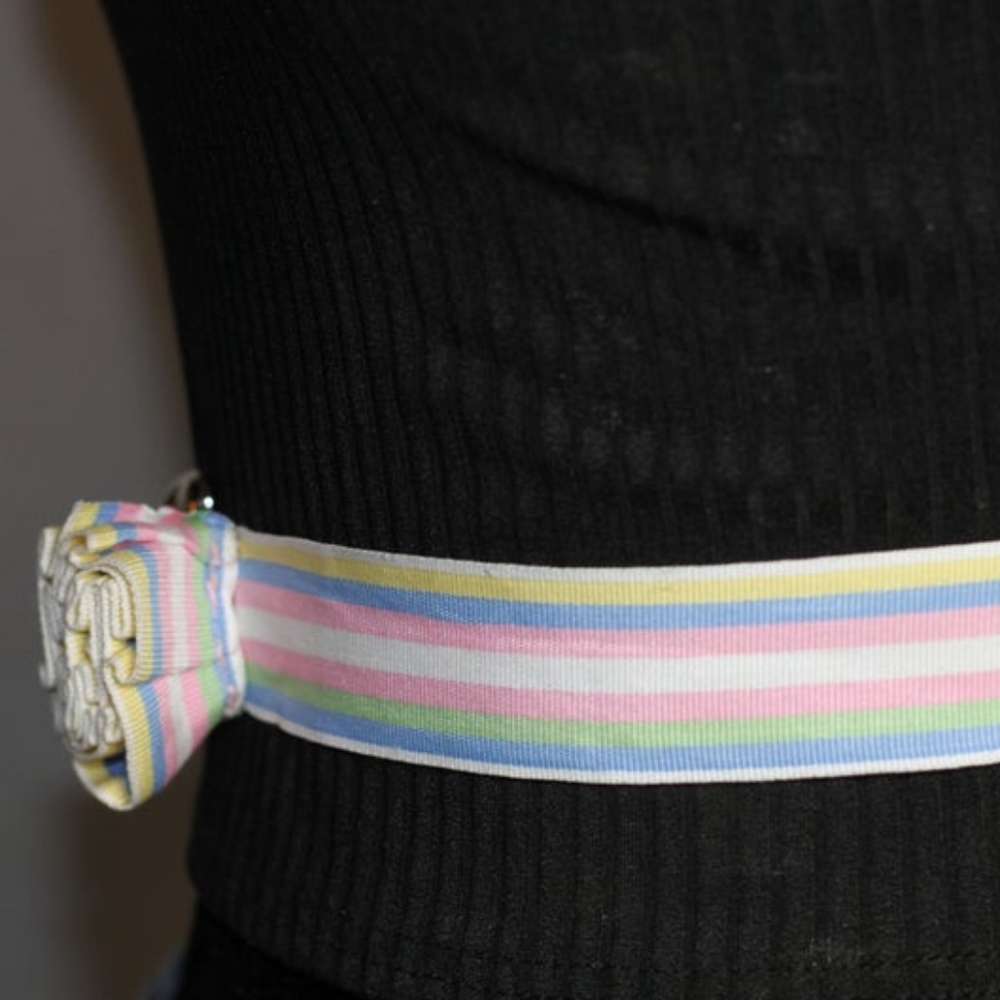 Multi Color Belt - Picture 5 of 7